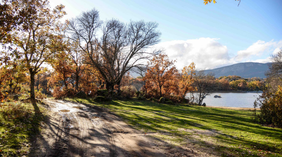 Video Location