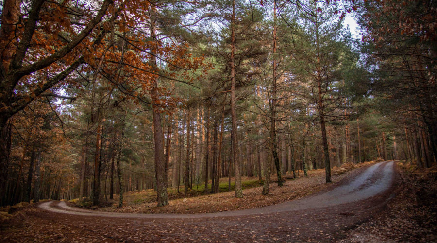 Video Location