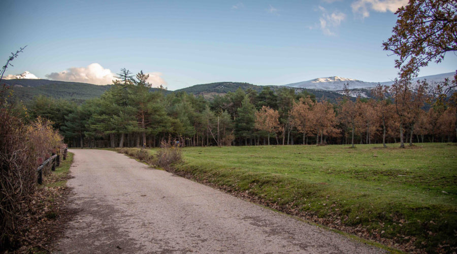 Video Location